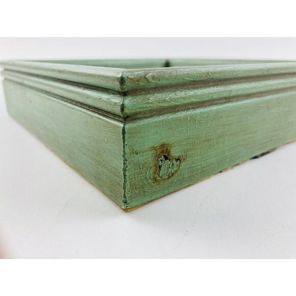 JAPANESE BUTTERFLY PAPILIO XUTHUS FRAMED DRIED TEXAS YELLOW ROSE Flower Framed - Picture 14 of 16